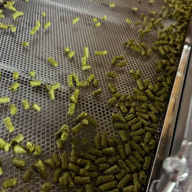 Hop pellets on a processing screen
